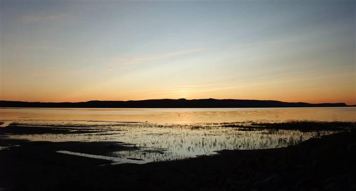 Tur til Polarcirklen, Norge sommeren 2009 del 2 billede 26
