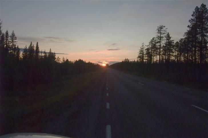 Tur til Polarcirklen, Norge sommeren 2009 del 2 - Camperede midt ude i en skov, da det var ved at være mørkt og sent (kl. 23:00).

Fint nok, men mere åbne steder er bedre, hvis man vil undgå en masse myg! billede 37