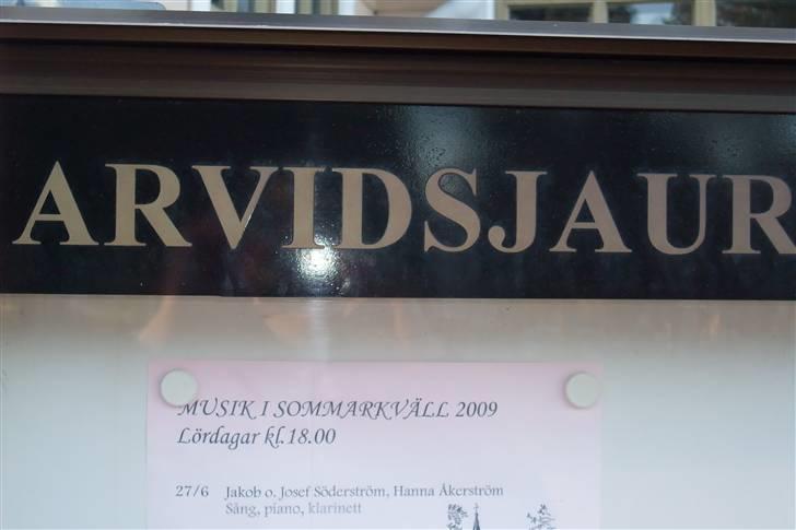 Tur til Polarcirklen, Norge sommeren 2009 del 2 billede 41