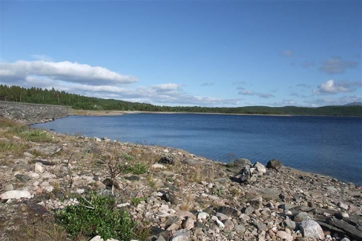 Tur til Polarcirklen, Norge sommeren 2009 del 2 billede 42