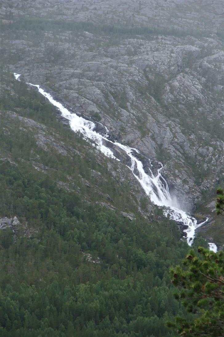 Tur til Polarcirklen, Norge sommeren 2009 del 2 billede 48