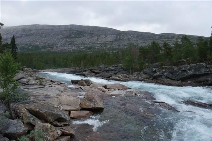 Tur til Polarcirklen, Norge sommeren 2009 del 2 billede 51