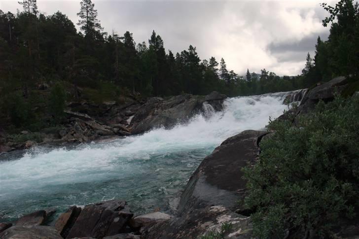 Tur til Polarcirklen, Norge sommeren 2009 del 2 billede 53