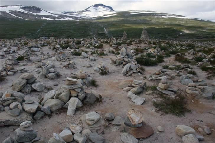 Tur til Polarcirklen, Norge sommeren 2009 del 2 - Det er en tradition at man liggere en sten, når man passerer polarcirkelen, så det måtte jeg jo også gøre.

Kunne se jeg ikke var den eneste der havde gjort det... :-p billede 56