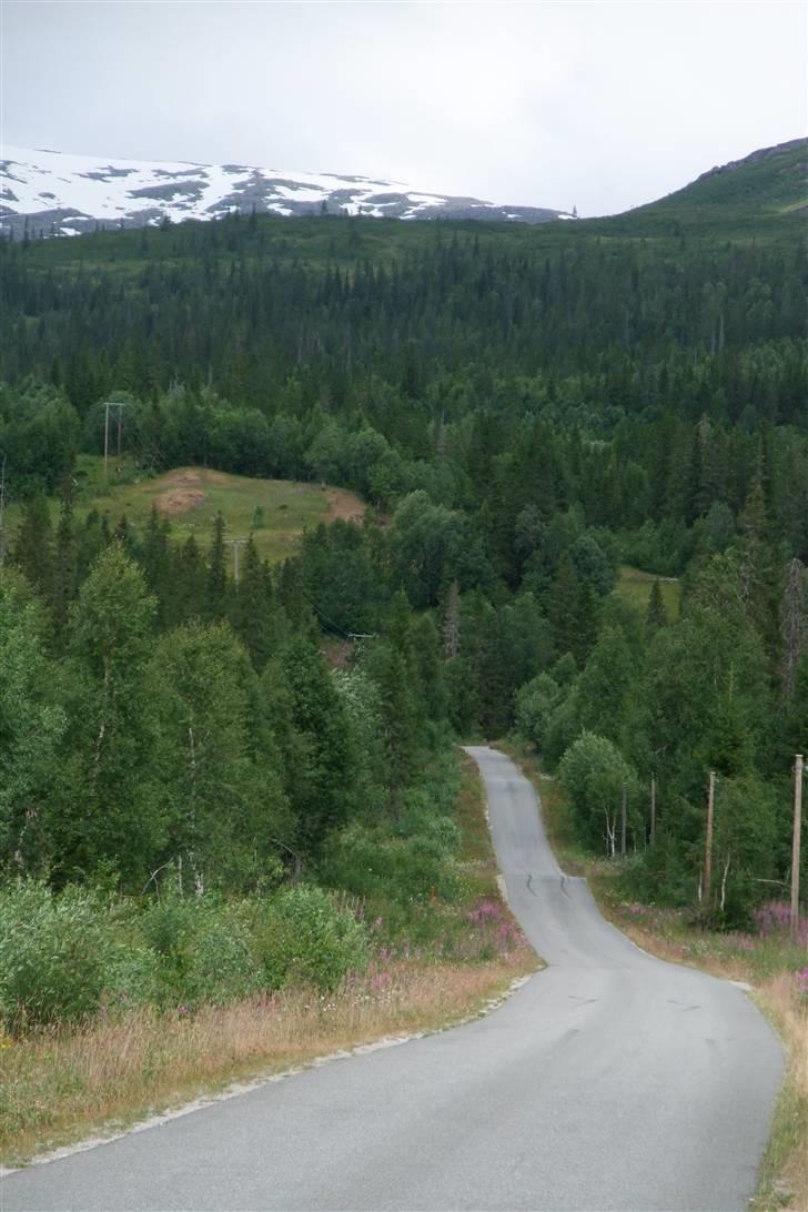 Tur til Polarcirklen, Norge sommeren 2009 del 2 billede 63