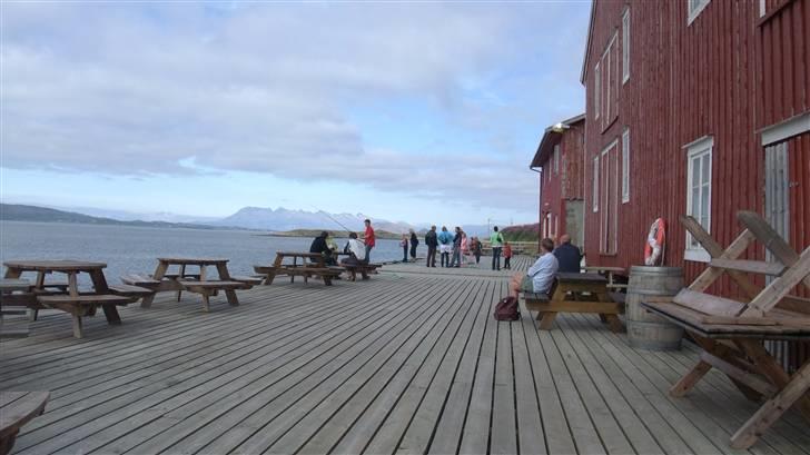 Tur til Polarcirklen, Norge sommeren 2009 del 2 billede 79
