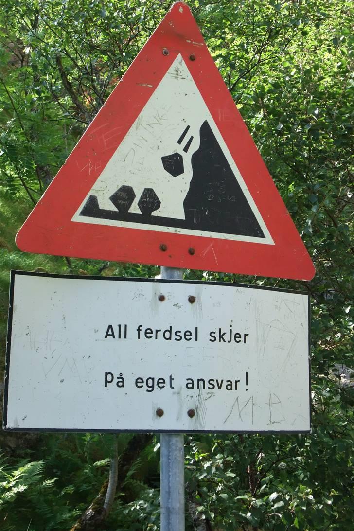 Tur til Polarcirklen, Norge sommeren 2009 del 2 billede 96