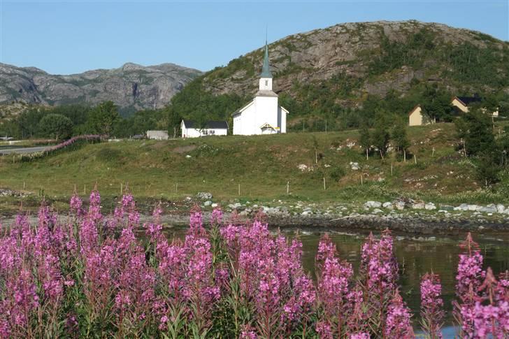 Tur til Polarcirklen, Norge sommeren 2009 del 2 billede 131