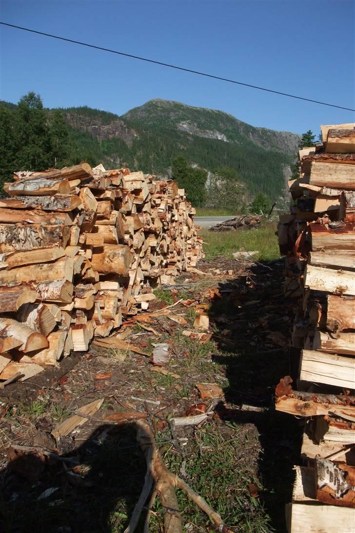 Tur til Polarcirklen, Norge sommeren 2009 del 2 - Spørg ikke hvorfor dette billede er med... billede 146