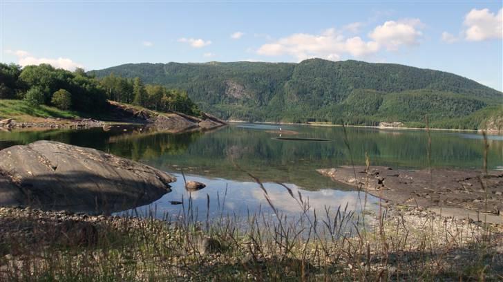 Tur til Polarcirklen, Norge sommeren 2009 del 2 billede 151