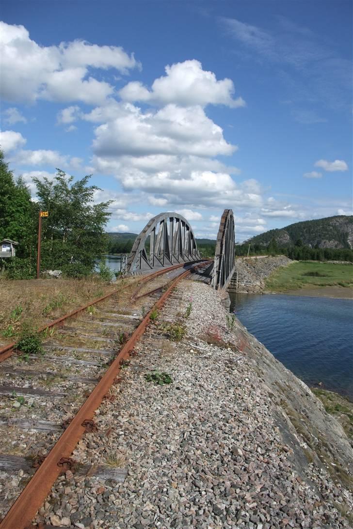 Tur til Polarcirklen, Norge sommeren 2009 del 2 billede 160