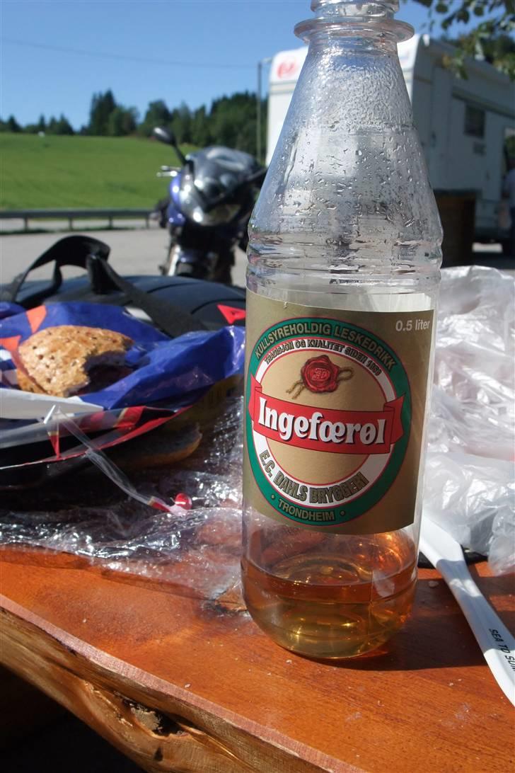 Tur til Polarcirklen, Norge sommeren 2009 del 2 - Ingefær øl aka Ginger Ale

Uhmmm! billede 166