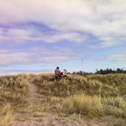 Ude og køre på stranden