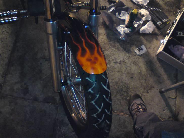 LS650 - Look's beautifull Esser 8) billede 280