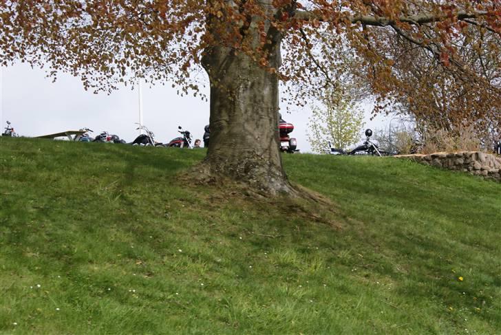 Joboland Bornholm 13 Maj 2010 billede 2