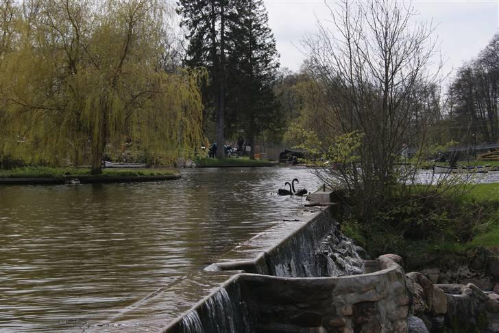 Joboland Bornholm 13 Maj 2010 billede 5