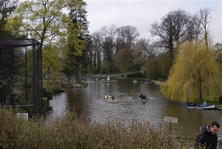 Joboland Bornholm 13 Maj 2010 billede 31