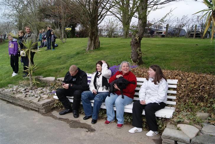 Joboland Bornholm 13 Maj 2010 - Mine super dejlige venner på Bornholm (Tegn ) billede 39