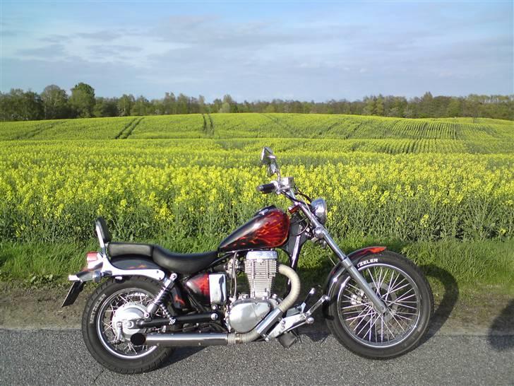 LS650 - Cruise billede 296