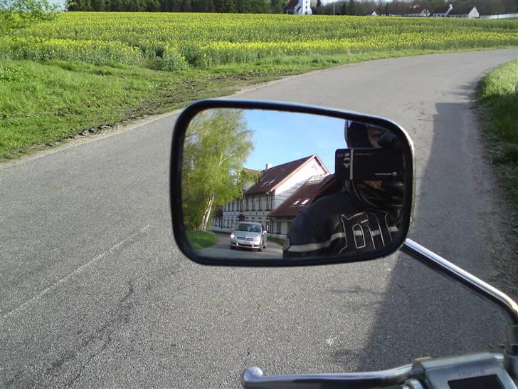 LS650 - Cruise billede 298