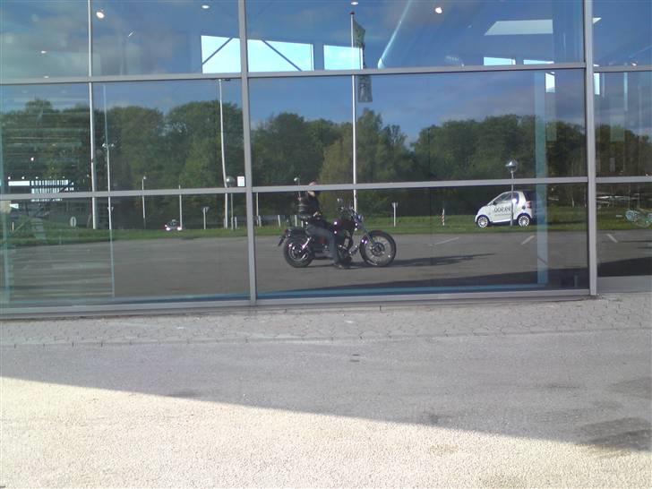 LS650 - Flot fyr billede 301