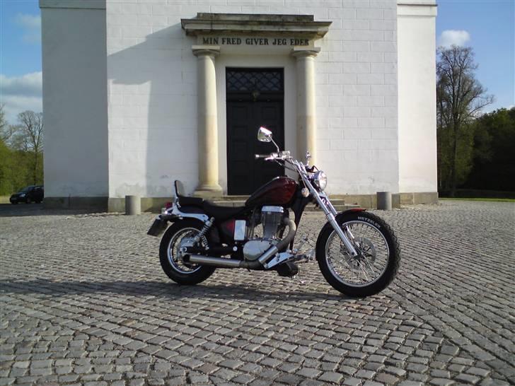 LS650 - Cruise billede 304