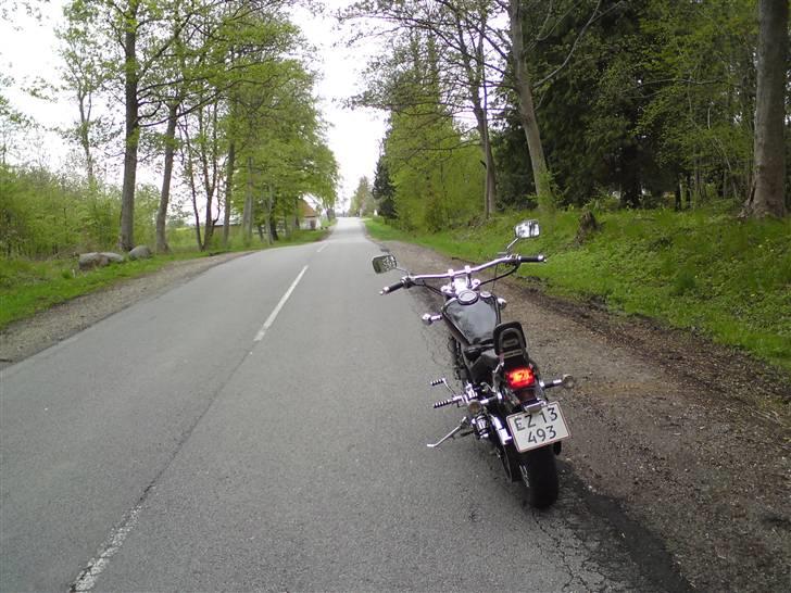LS650 - Fra syd Sjælland billede 310