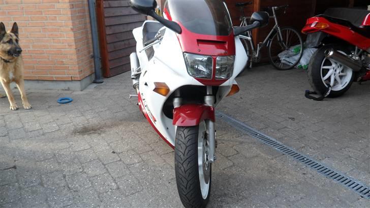 Projekt skadet VFR 750 RC6-1 - Den er sgu helt flot og lidt fræk at se på. billede 3