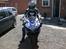 Dainese stripes