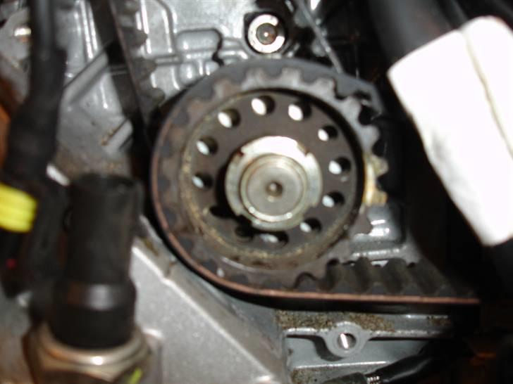 Tandrems skift på Ducati 998 testastretta - De to remmes drivhjul billede 9