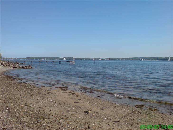Julemærketur + (hein gericke) - Lidt udsigt fra "stranden" ved julemærkehjemmet billede 1