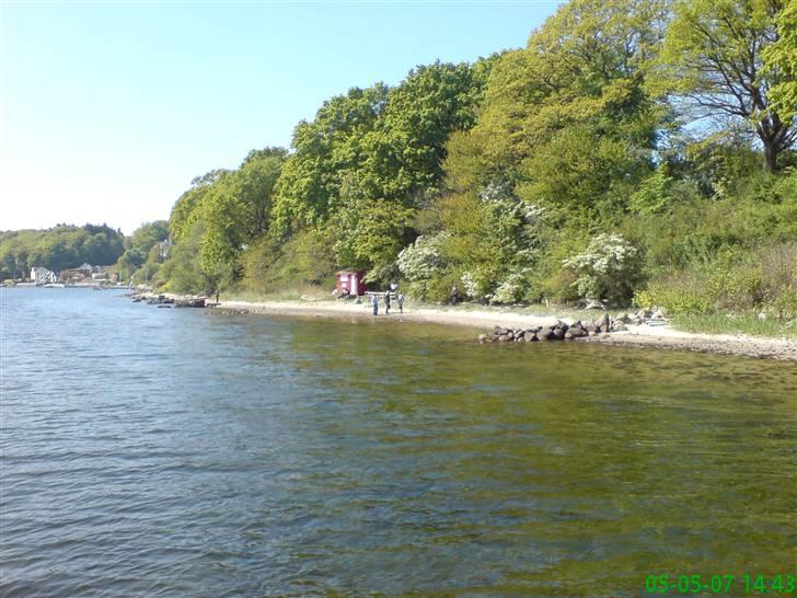 Julemærketur + (hein gericke) - Lige den anden vej ind mod julemærkehjemmet billede 2