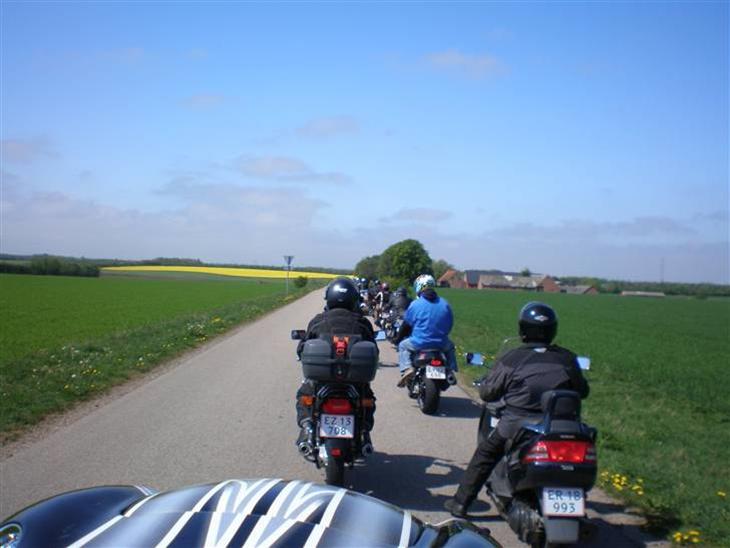 MOORLAND RUN 2007 - Billedet er taget hen over mit hovede billede 0