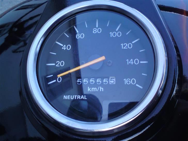 LS650 - High Five ;) billede 341