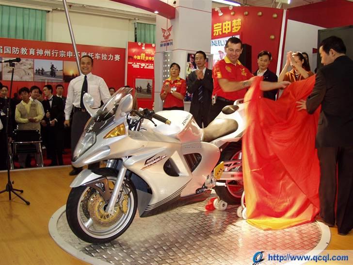 Kina MC over 250 cc - Zongshen 650 Shark (2002) billede 22
