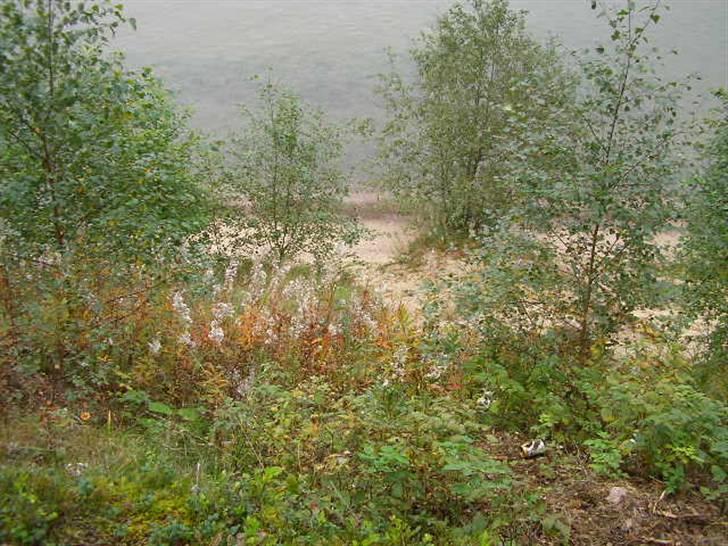 Tændstikke træf  sverige  billede 6