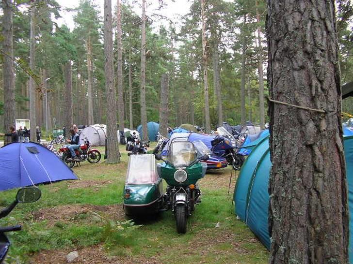 Tændstikke træf  sverige  billede 8