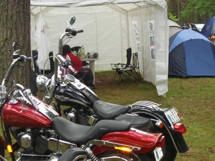 Tændstikke træf  sverige  billede 10