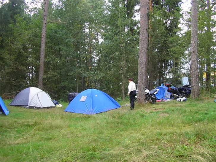 Tændstikke træf  sverige  billede 12