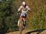 Honda CRF250R 2010