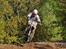 Honda CRF250R 2010