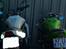 Nok DK mest modificerede Kawasaki ER6N 