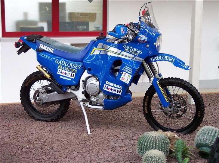 XT drømmeland...+ sjove ting - XTZ 850 RR Dakar billede 6