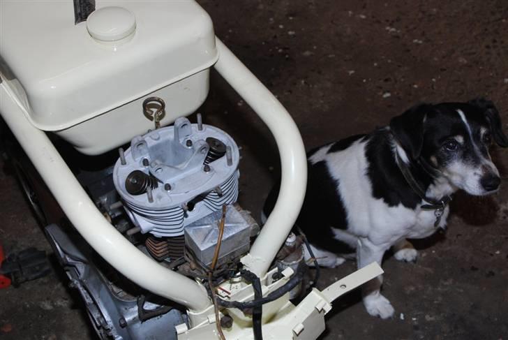 Heinkel Tourist - Renovering #5 billede 5