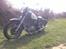 XV 750 - Bobber - I Did It