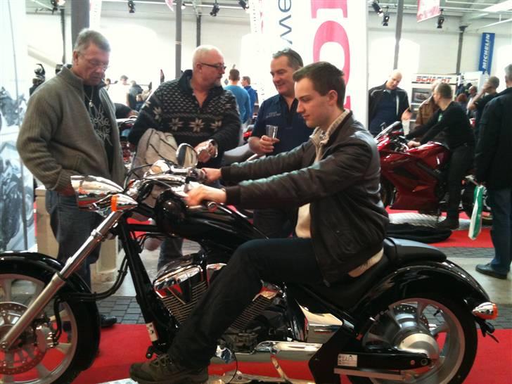 LS650 - Honda Fury billede 343