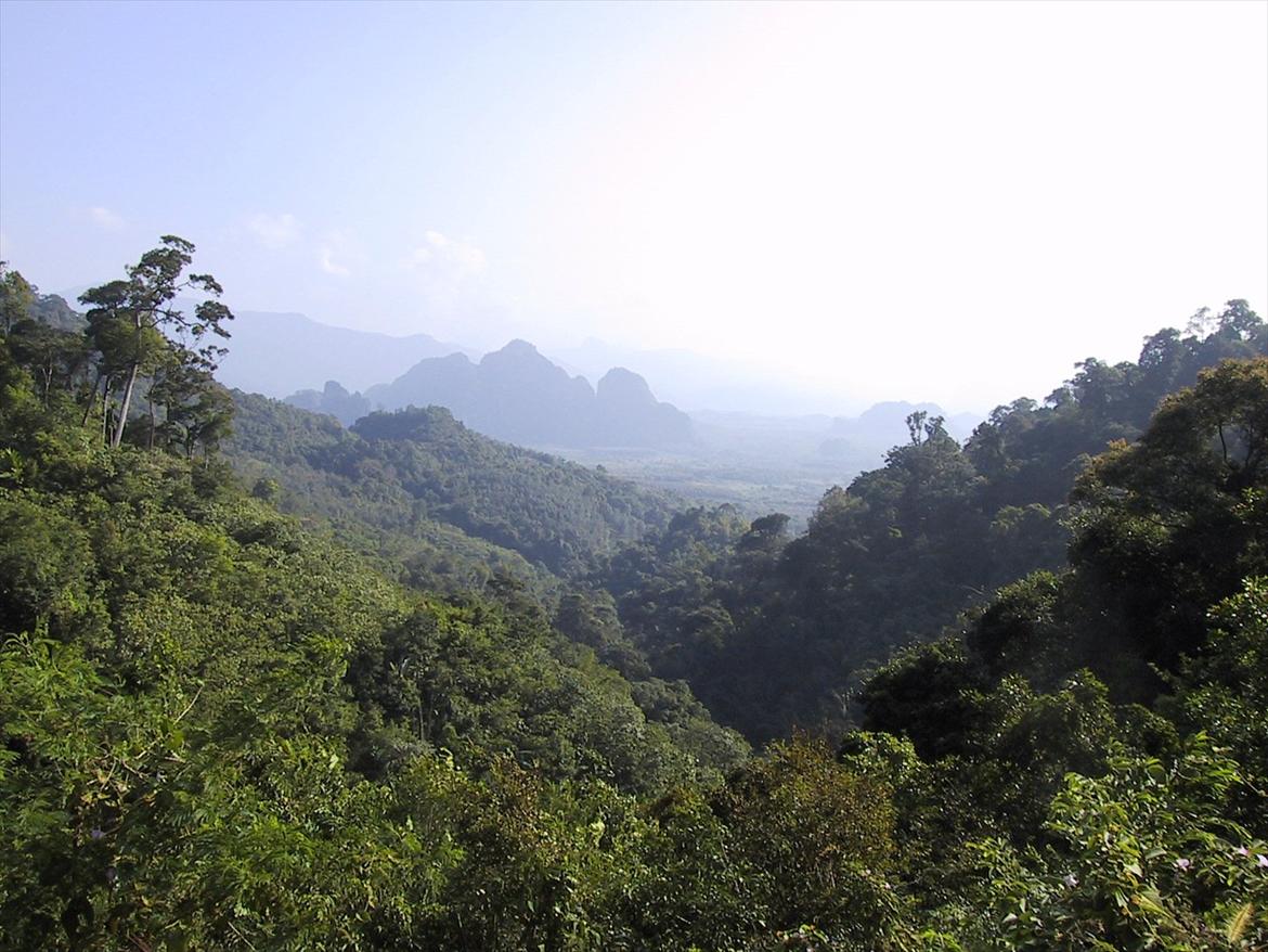 Thailand rundt på MC  - Nu er vi faktisk kun 75 km væk fra Phuket, i et område nationalpark der hedder Khao Sok, mere skal de ikke til før man er i det rigtige Thai, her møder du de rigtige Thaier, rigtige smil, ægte Thai mad, og ja i bunden af dalen er der en vej, og det er den vi skal ;)  billede 5