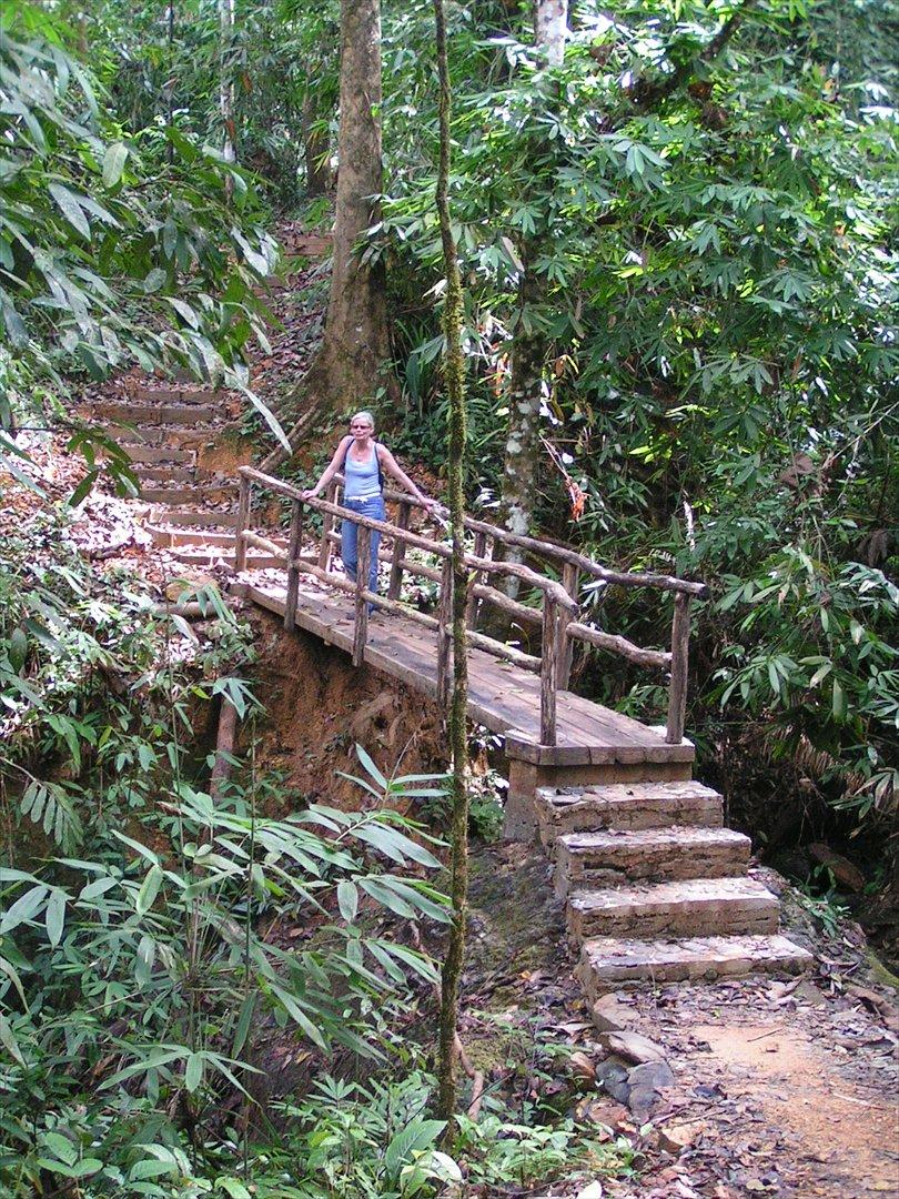 Thailand rundt på MC  - På vej ud i Junglen et eller andet sted  billede 39