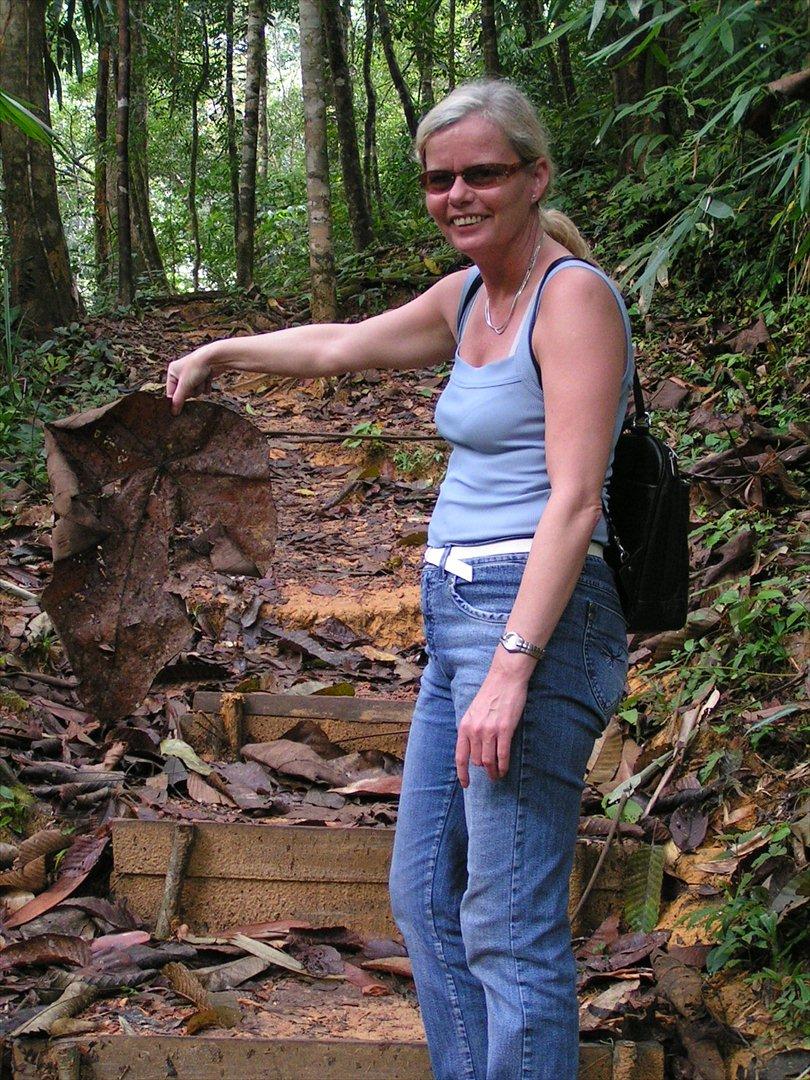 Thailand rundt på MC  - Blade er også lidt størrer end man er vandt til, og pas lige på når du samler ting op i junglen, der er kryb neden under skulle jeg hilse og sige lige fra Edderkobber til Skopi og de er ikke bange for dig ! billede 40