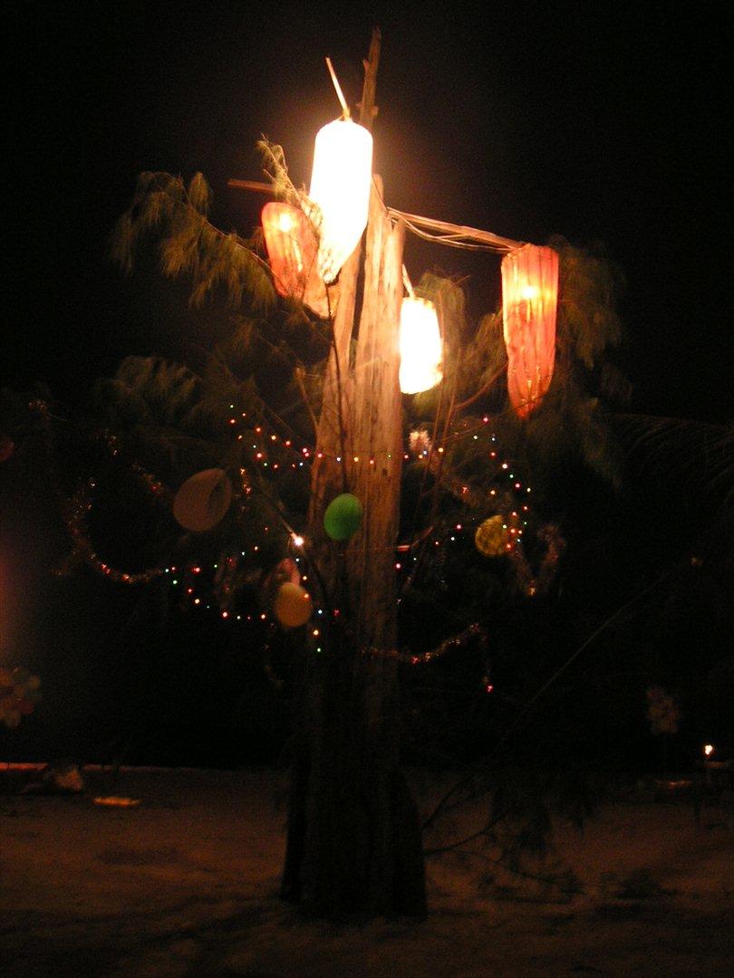 Thailand rundt på MC  - Vore fine Juletræ Jo jo  billede 45